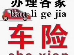 审车找小宋 方便 给力