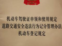 驾校招生 因材施教